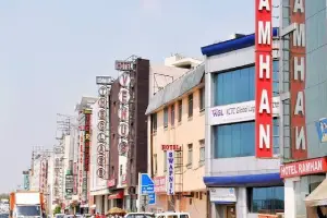 Companions in Mahipalpur
